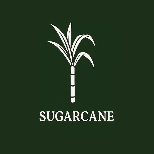 Sugarcane