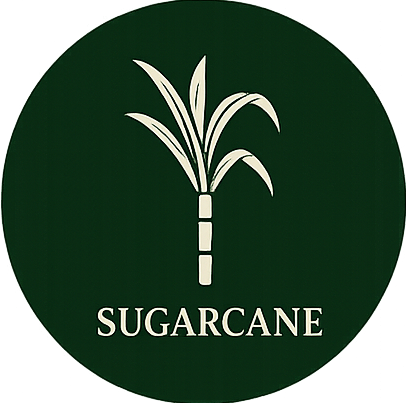Sugarcane